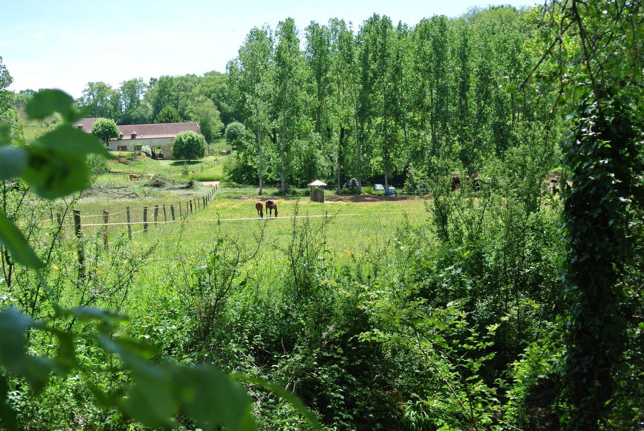 Le Moulin De Planiol Panzió Le Vigan  Kültér fotó