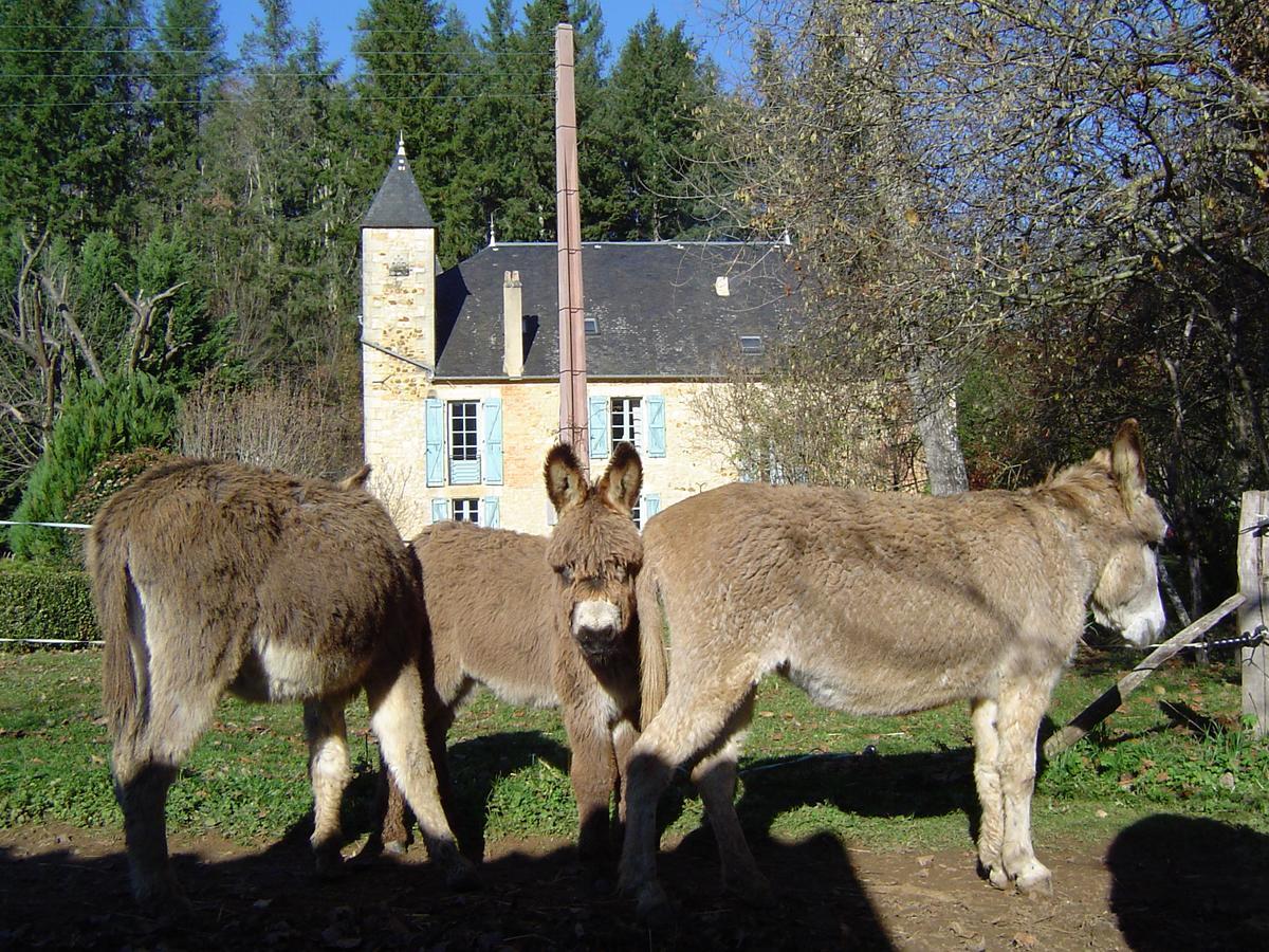 Le Moulin De Planiol Panzió Le Vigan  Kültér fotó